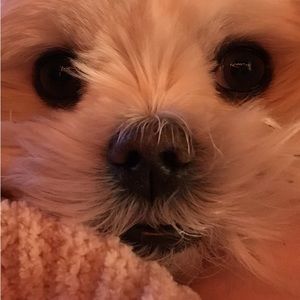 CLOSET CLOSING!!! Make offers!! Will counter with lowest or accept!! 💗💗💗